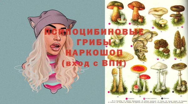 a pvp Ельня