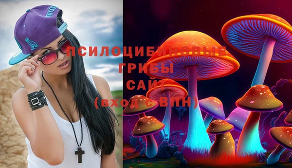 дурь Елабуга