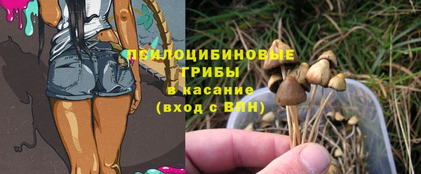 дурь Елабуга