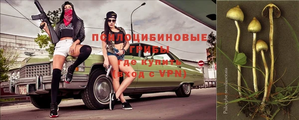 a pvp Ельня