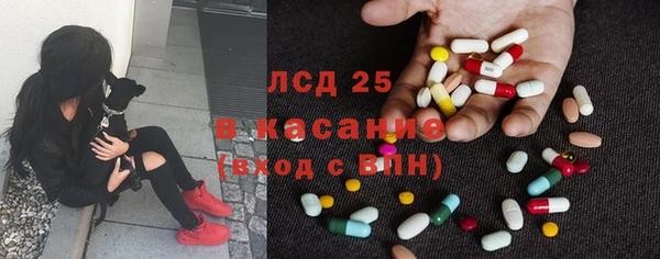 a pvp Ельня