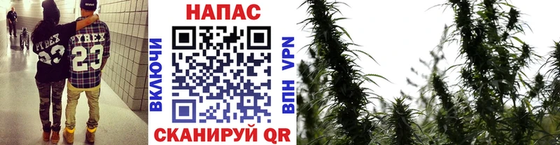 Купить где  Медногорск  Каннабис AK-47 
